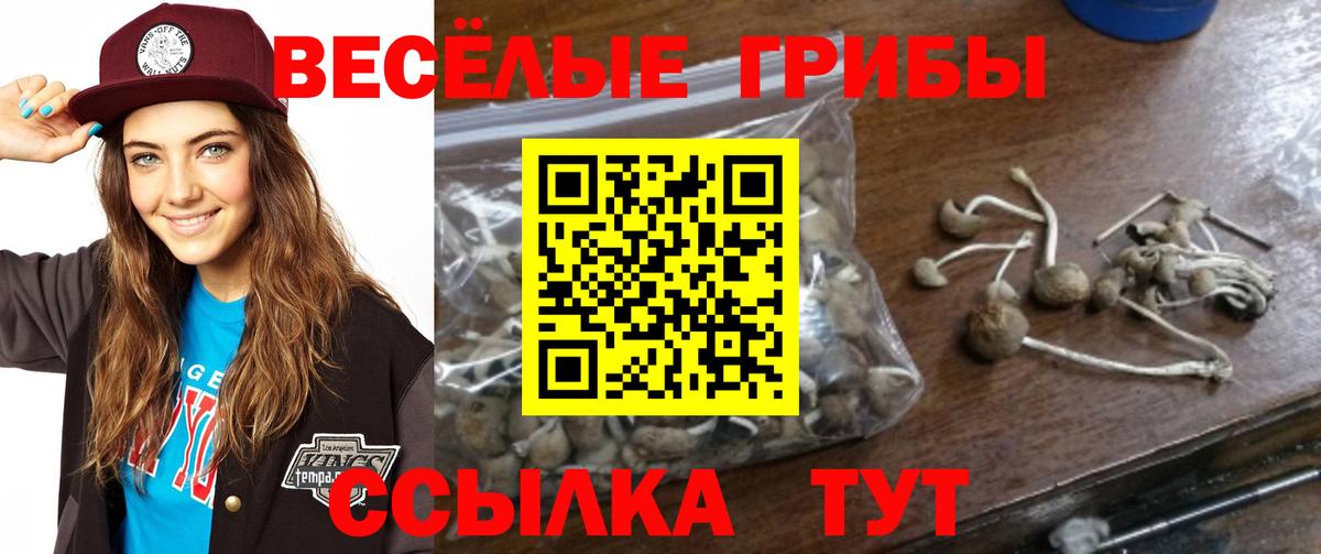 Обнинск  Галлюциногенные грибы Magic Shrooms  наркошоп  Вход с VPN 